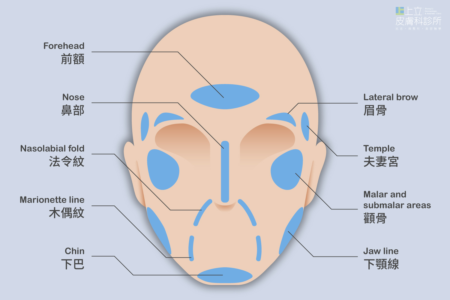 四十歲之後每年臉上會流失約5cc的體積包括顴骨、下顎線和夫妻宮