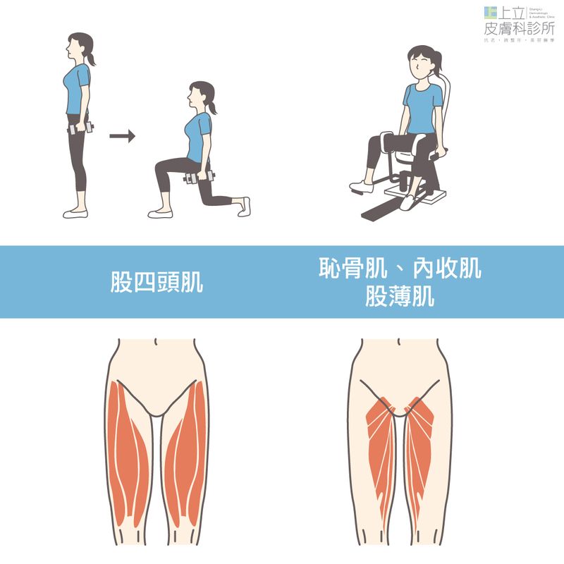 透過不同的動作，可以鍛鍊大腿重要肌群。