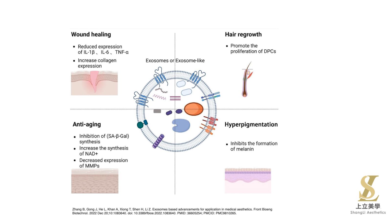 外泌體在美容醫學的主要運用