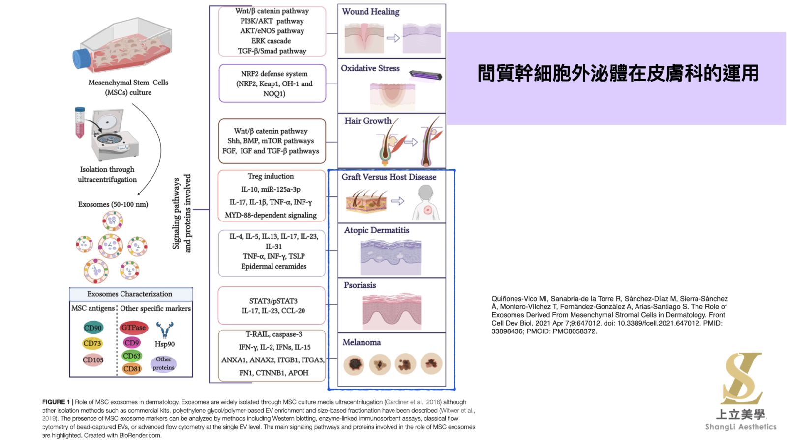 不同外泌體來源與可能的作用差異