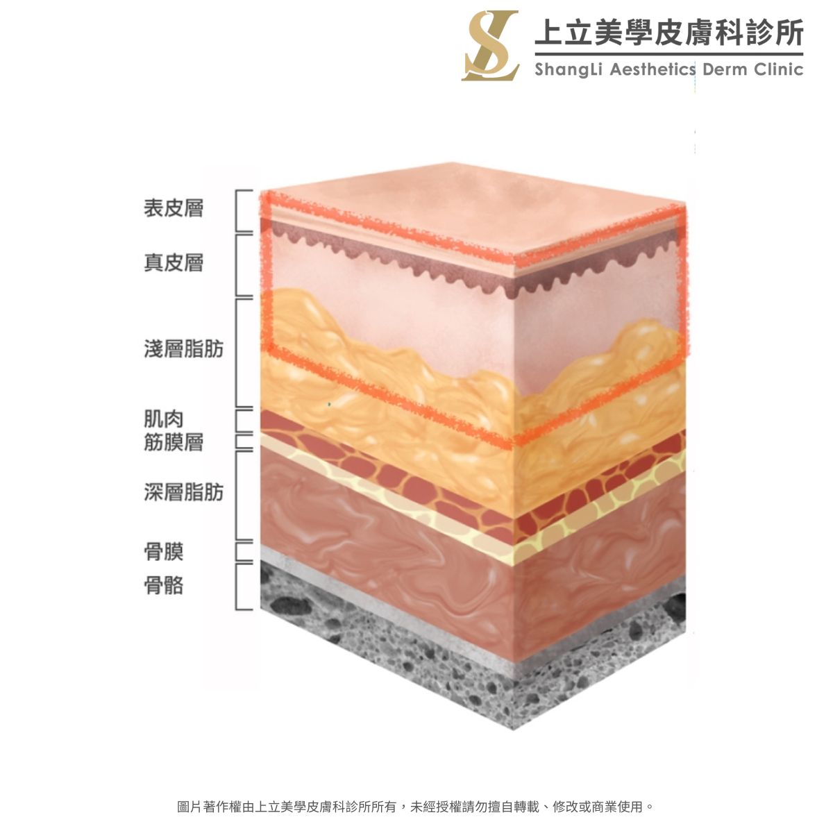 上立醫師皮膚學理頗面圖