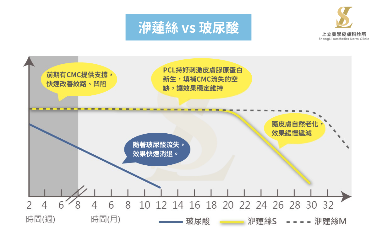 玻尿酸與洢蓮絲維持時間