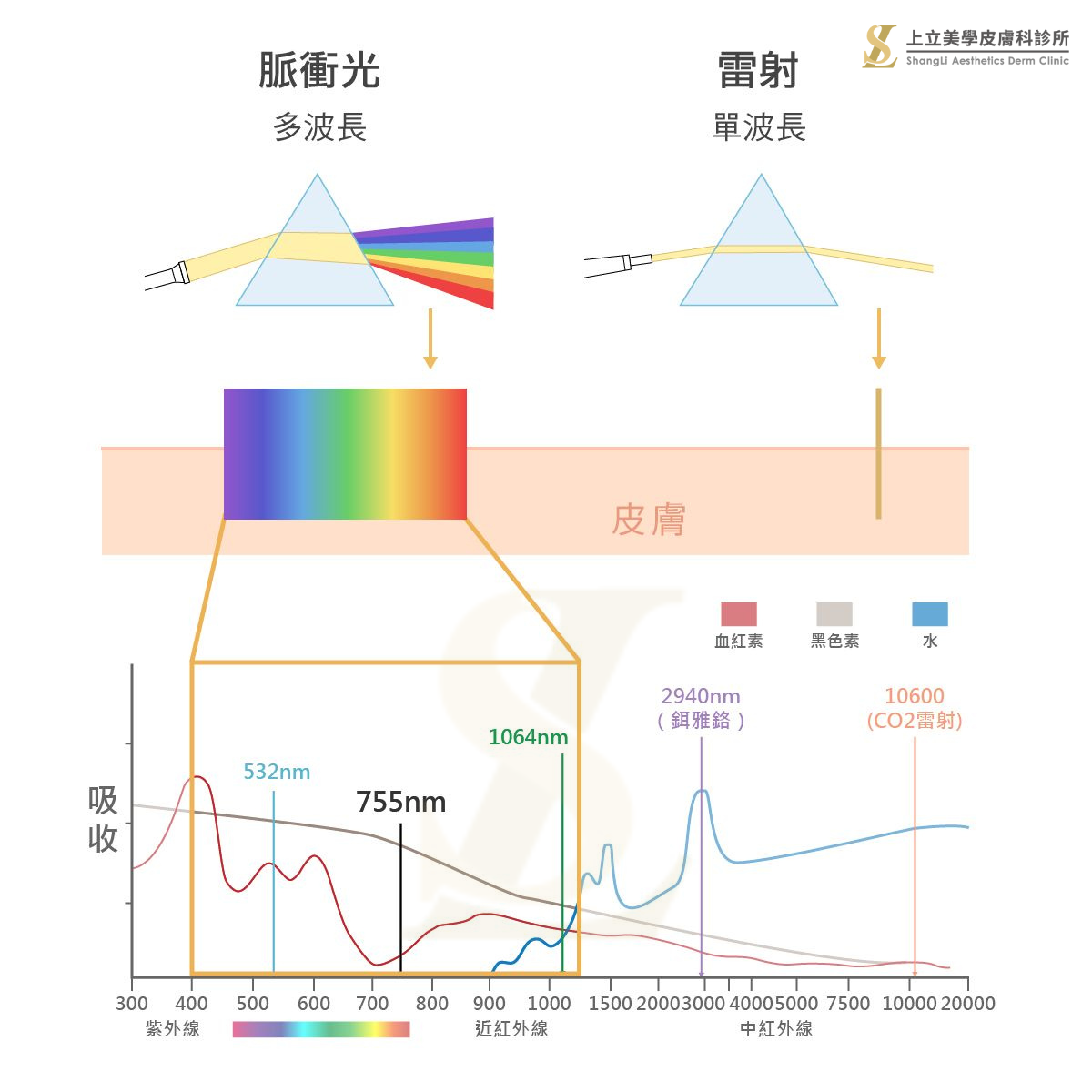 以「光」治療酒糟肌