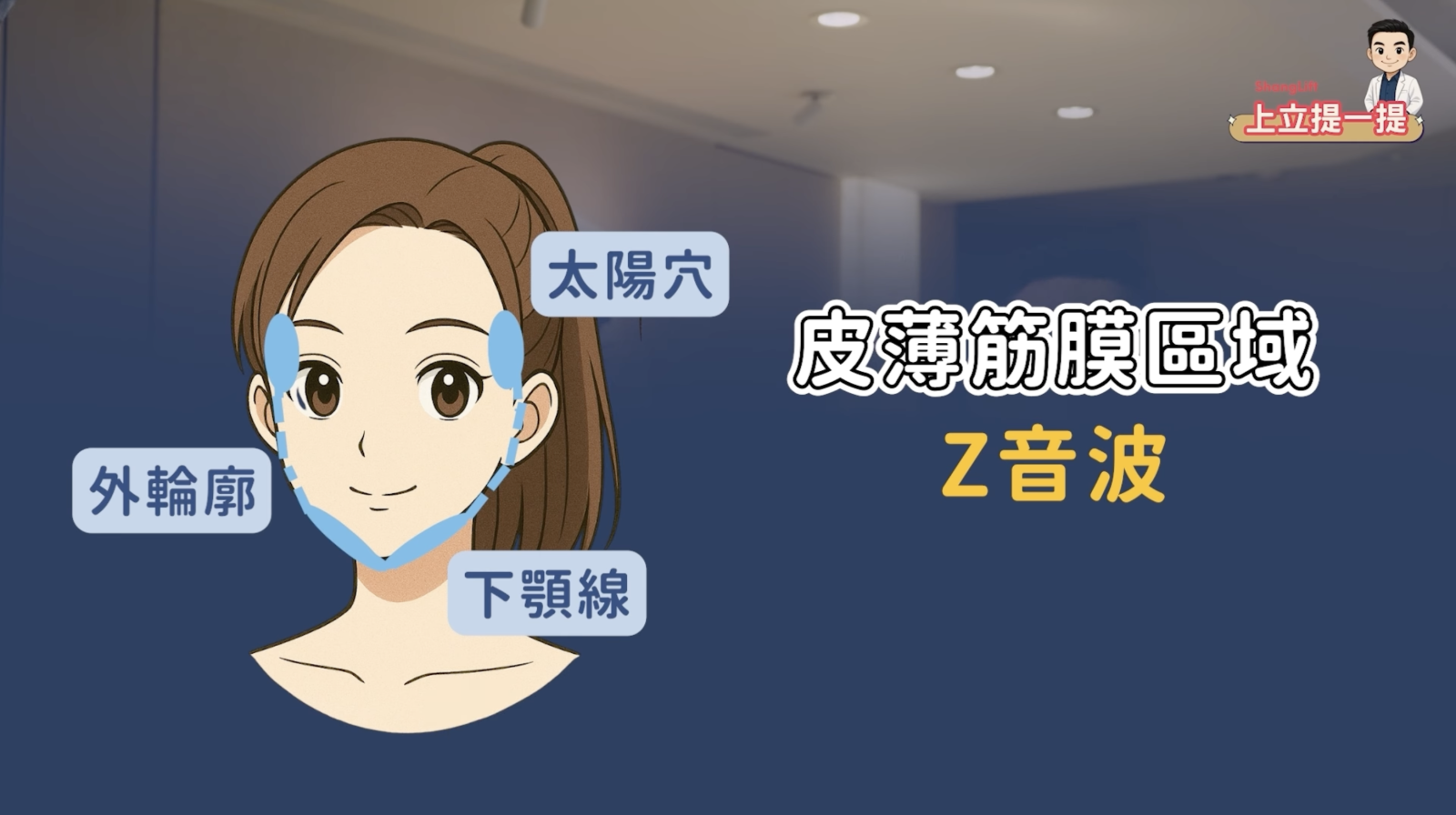 根據脂肪與筋膜分佈來分配