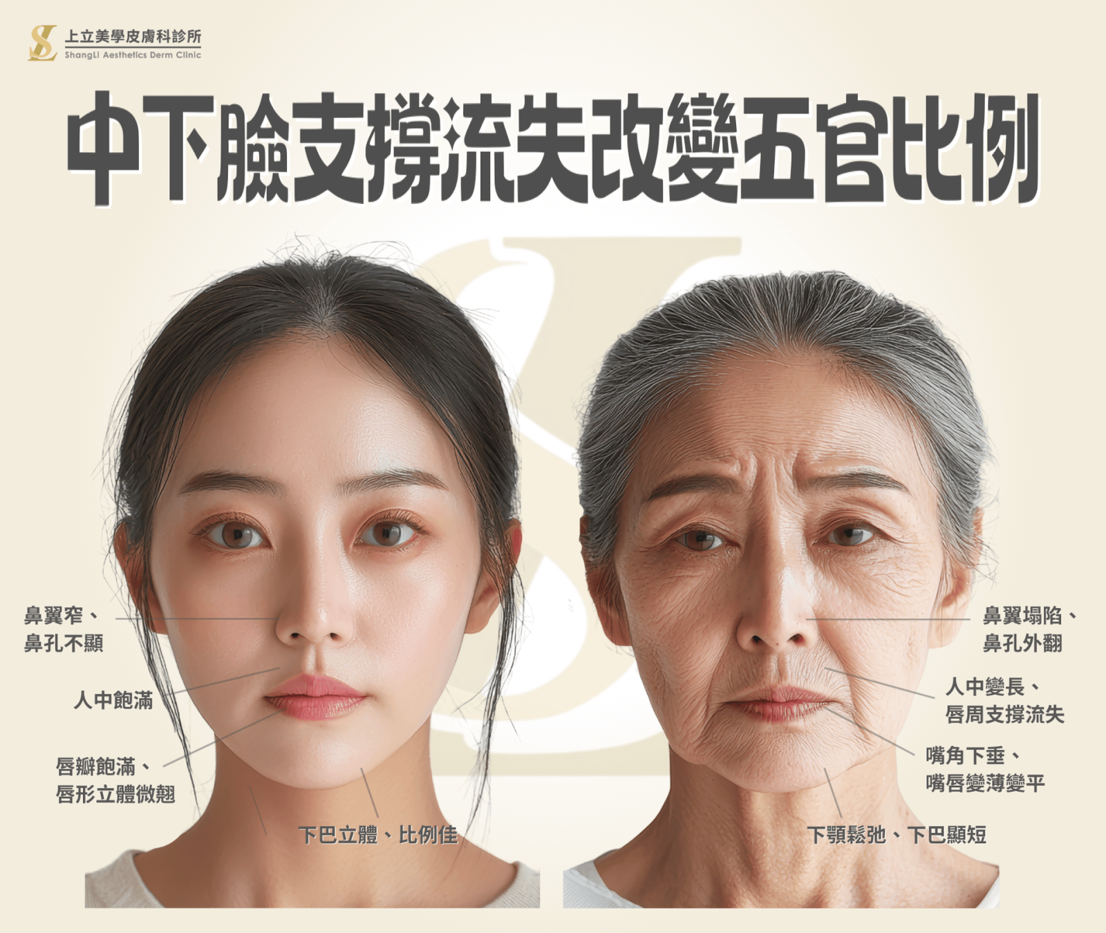 隨著臉部骨架流失、形狀改變，不僅會導致皮膚鬆弛下垂