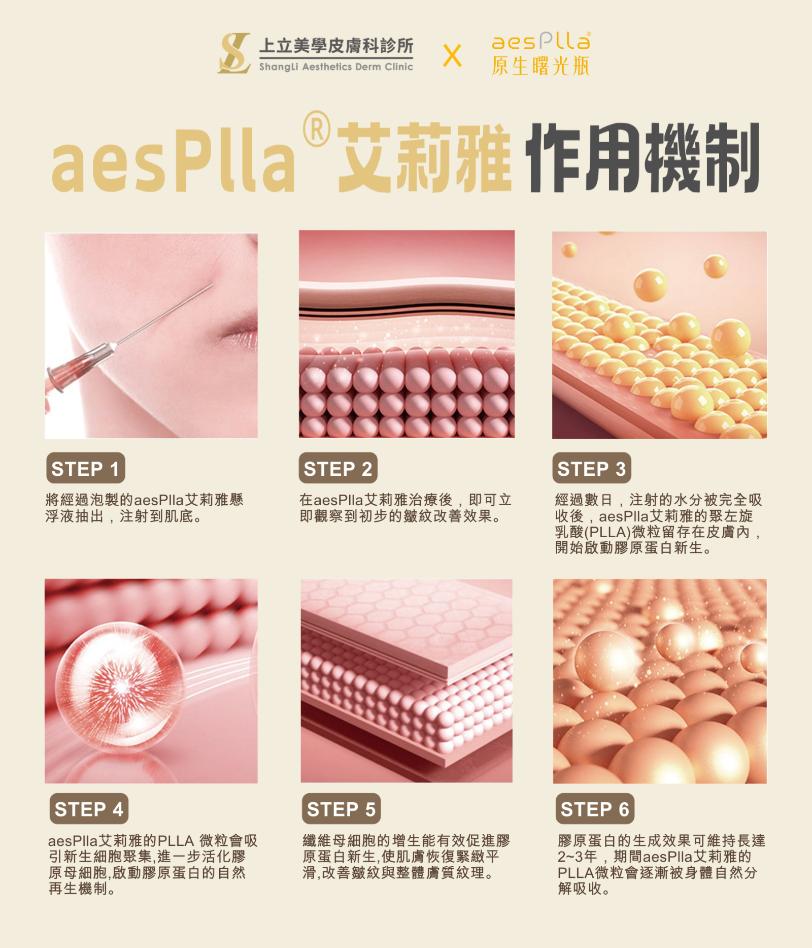 aesPlla&reg;艾莉雅（原生曙光瓶）作用機制
